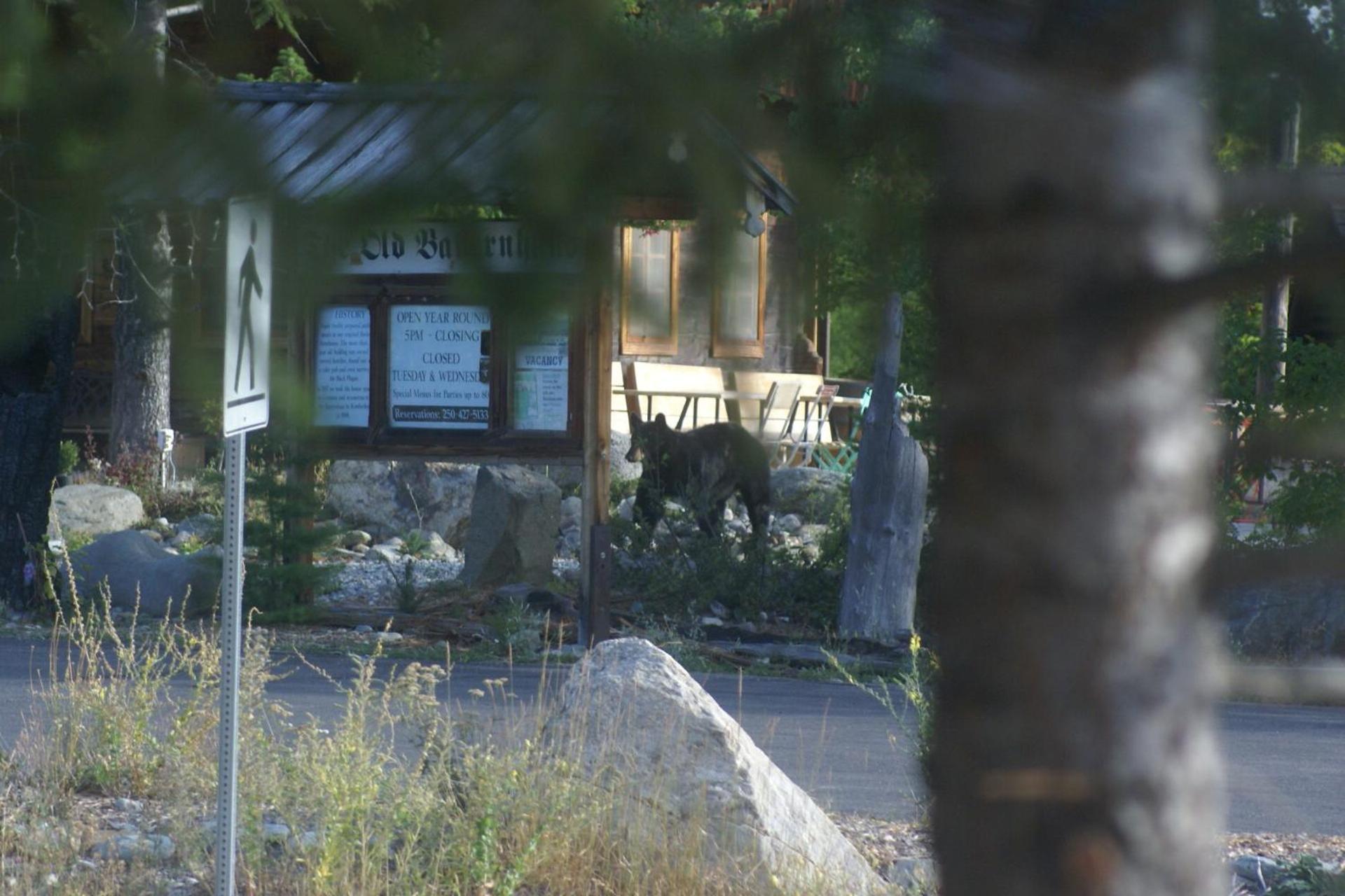 Alpenglow Bed And Breakfast Кимберли Экстерьер фото